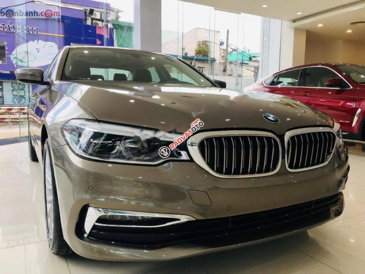 Cần bán xe BMW 5 Series 530i đời 2018, màu nâu, nhập khẩu-0