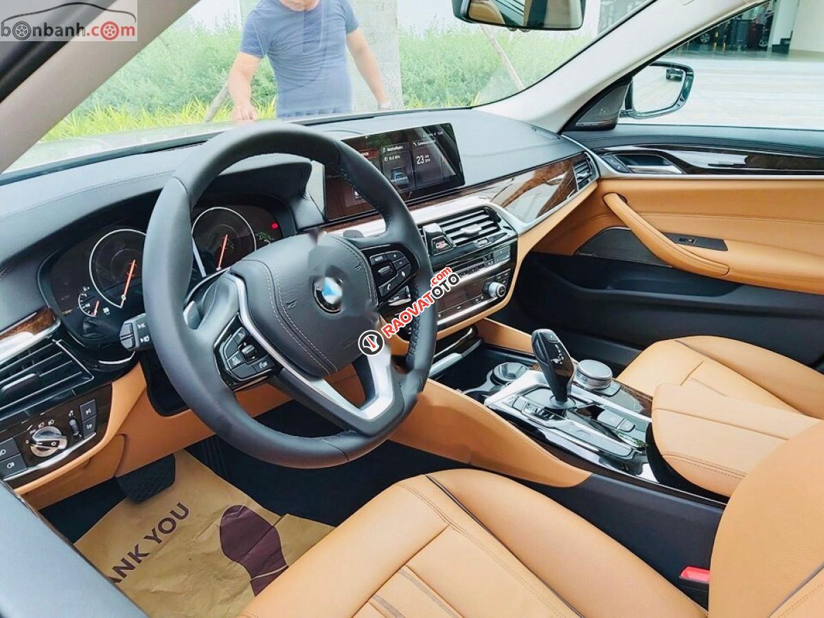Cần bán xe BMW 5 Series 530i đời 2018, màu nâu, nhập khẩu-3