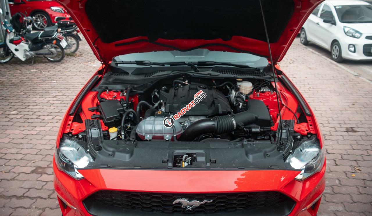 Bán ô tô Ford Mustang 2.3 Ecoboost Premium 2019, màu đỏ, nhập Mỹ, xe giao ngay-4