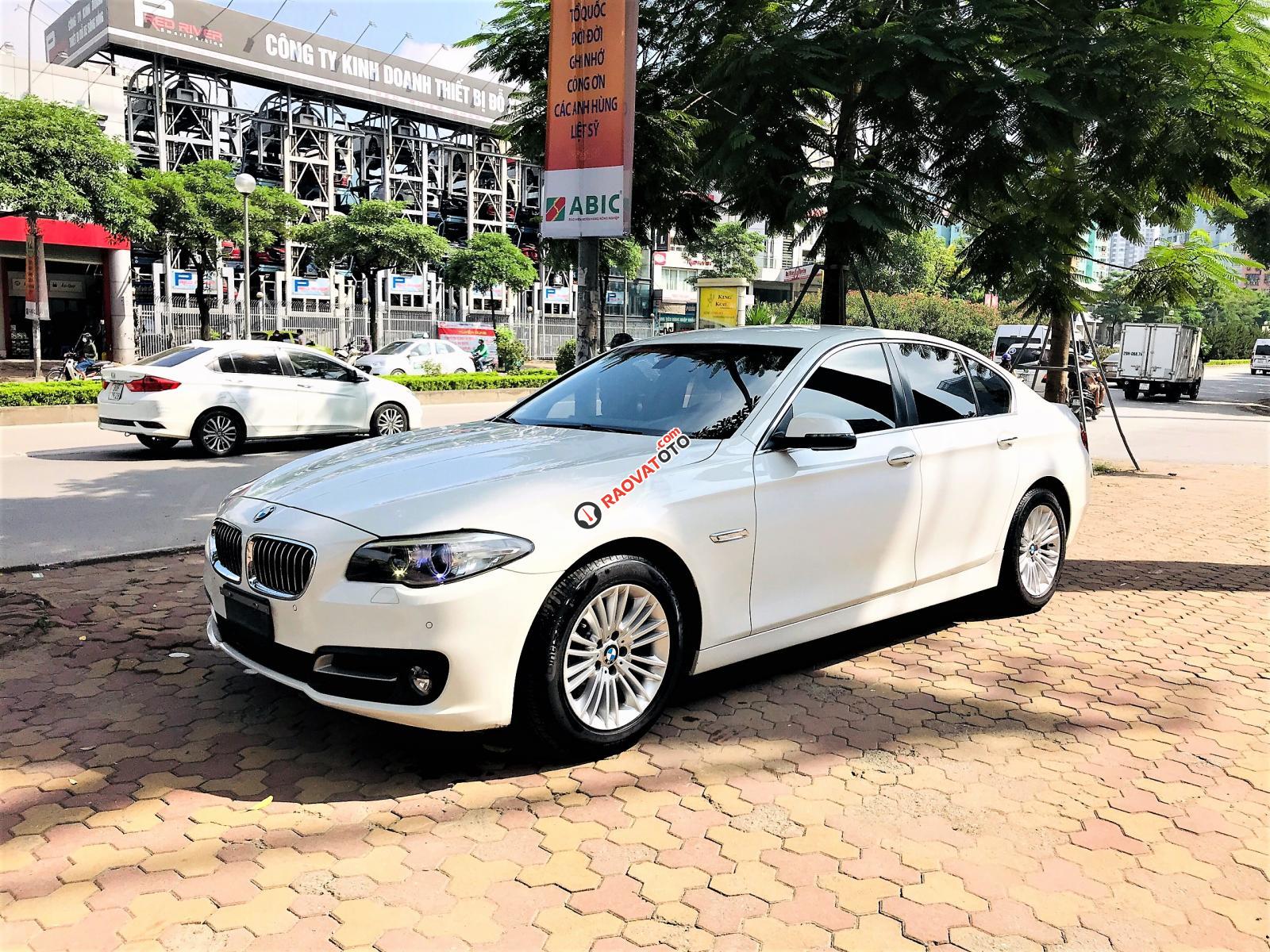 Bán ô tô BMW 5 Series 520i sản xuất năm 2014, màu trắng, xe nhập-15