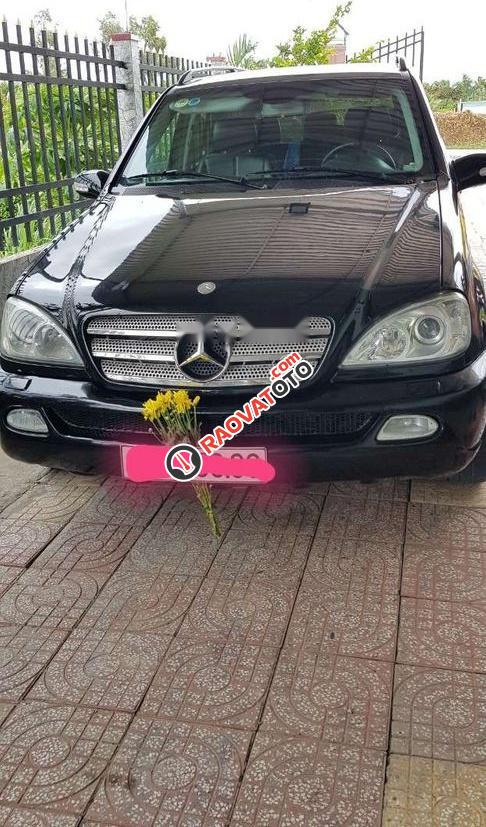 Bán Mercedes ML 320 năm sản xuất 2002, màu đen, nhập khẩu số tự động-4