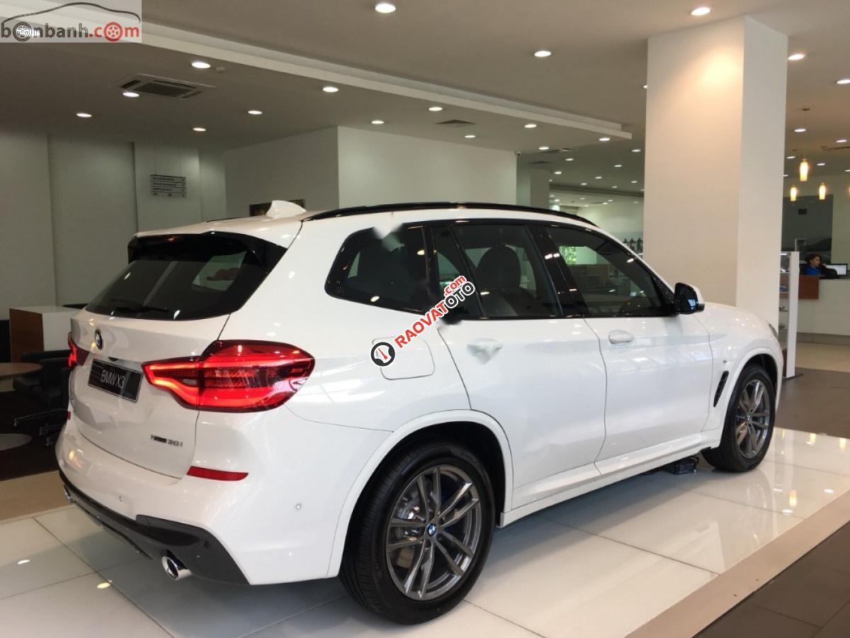 Bán xe BMW X3 xDrive20i đời 2019, màu trắng, nhập khẩu-2