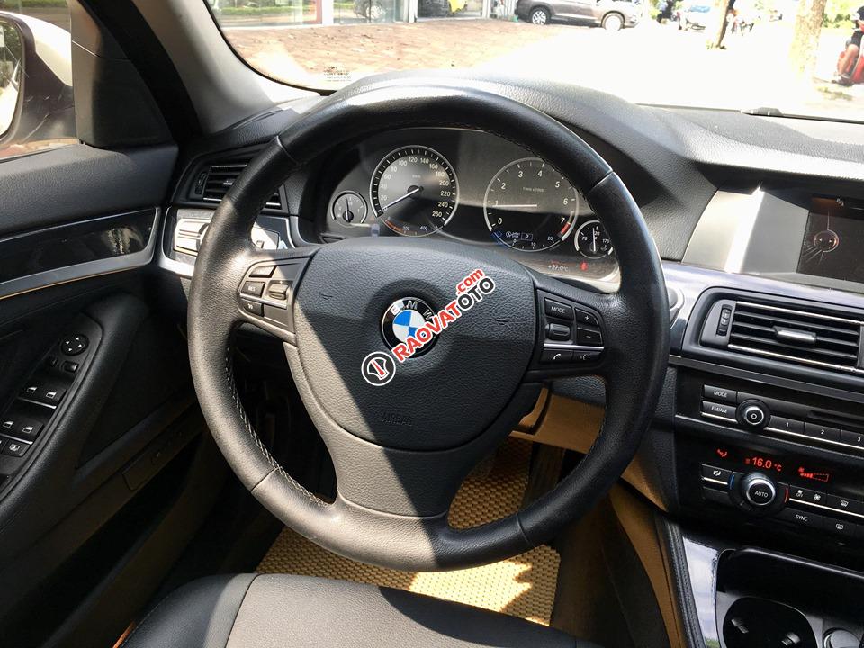 BMW 520i sản xuất 2014-4