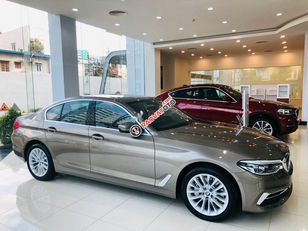 Bán xe BMW 5 Series 530i  Luxury sản xuất năm 2019, xe nhập-4