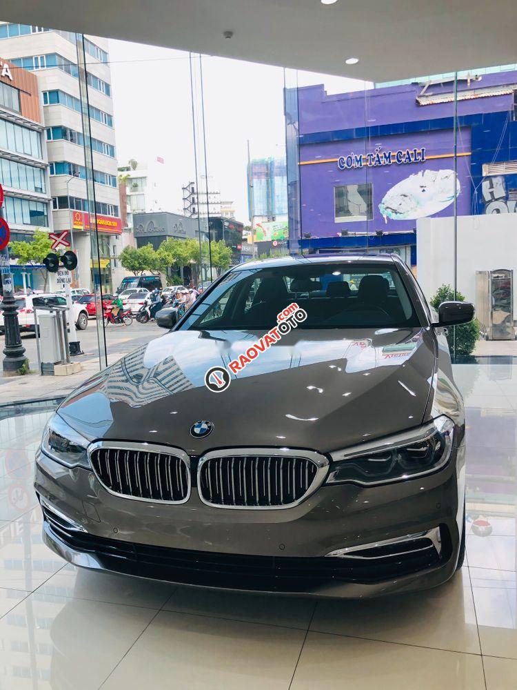 Bán xe BMW 5 Series 530i  Luxury sản xuất năm 2019, xe nhập-5