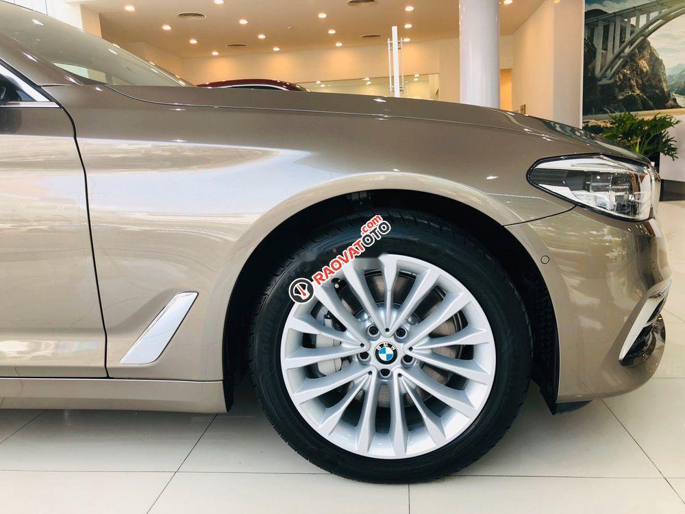 Bán xe BMW 5 Series 530i  Luxury sản xuất năm 2019, xe nhập-1