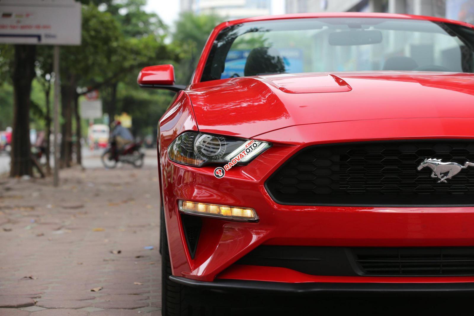 Bán ô tô Ford Mustang Convertible 2.3 Ecoboost đời 2019, màu đỏ, nhập khẩu-2