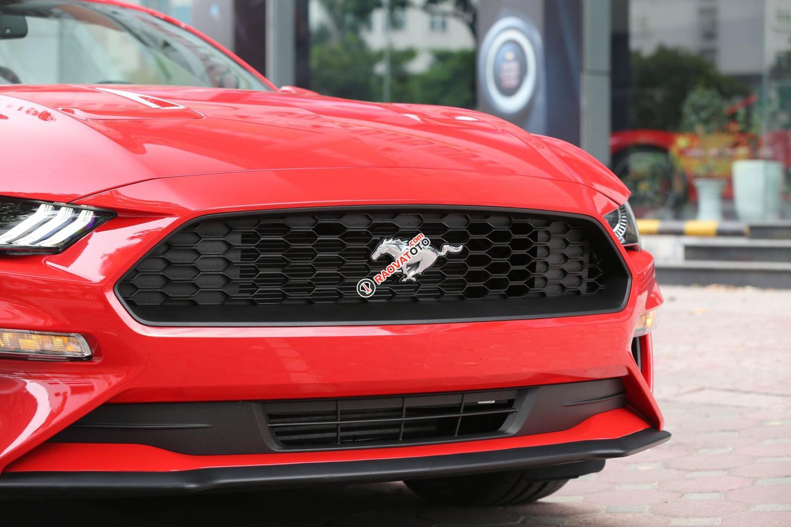 Bán ô tô Ford Mustang Convertible 2.3 Ecoboost đời 2019, màu đỏ, nhập khẩu-5