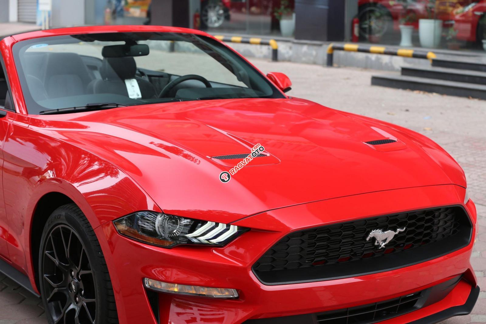 Bán ô tô Ford Mustang Convertible 2.3 Ecoboost đời 2019, màu đỏ, nhập khẩu-3