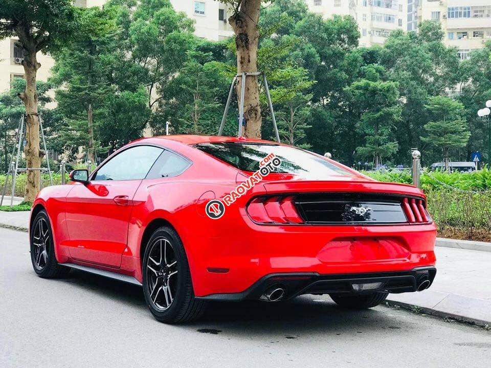 Bán xe Ford Mustang Convertible đời 2019, màu đỏ, nhập khẩu-3