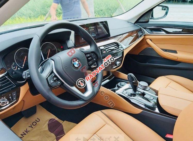 Bán BMW 5 Series 530i đời 2019, màu nâu-4