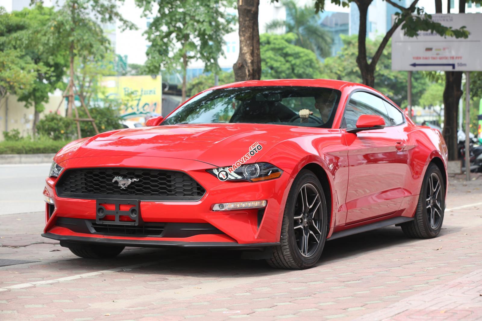 Ford Mustang 2.3 EcoBoost Fastback 2019, màu đỏ-6