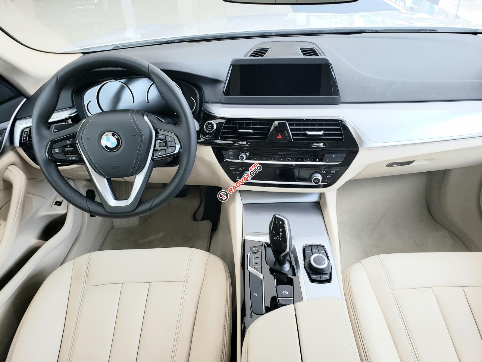 BMW 5 Series 520i, màu trắng, nhập khẩu Đức, sang trọng, đẳng cấp-6