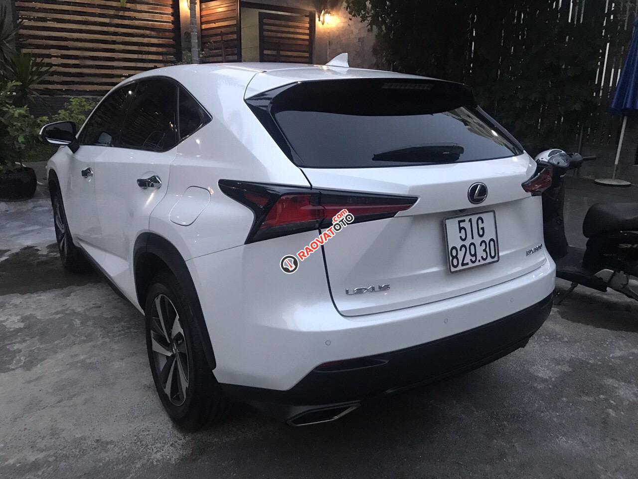 Bán NX300T SX 2018, mẫu xe 2019, xe đi 11.000km bao check hãng-3