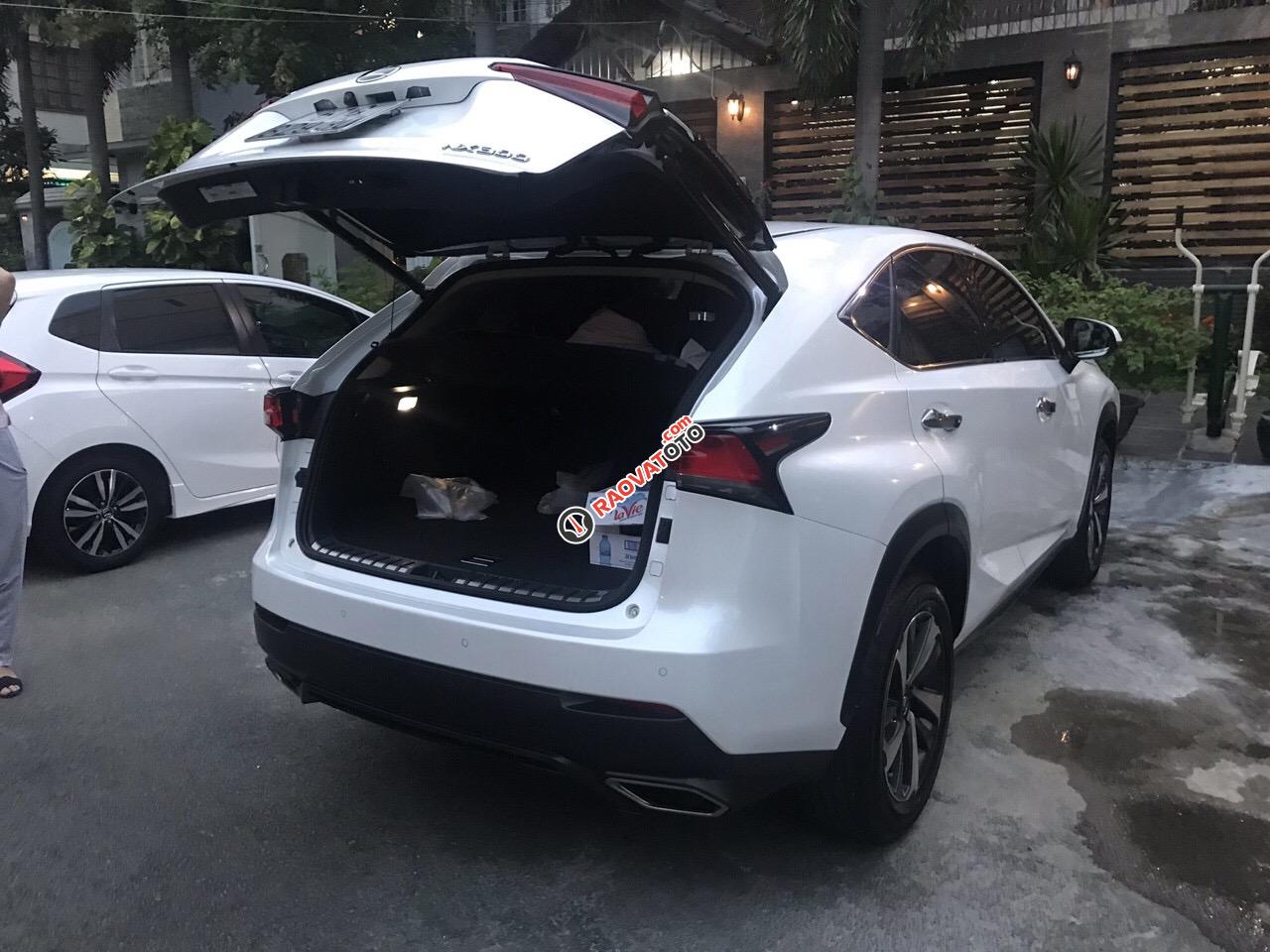 Bán NX300T SX 2018, mẫu xe 2019, xe đi 11.000km bao check hãng-2