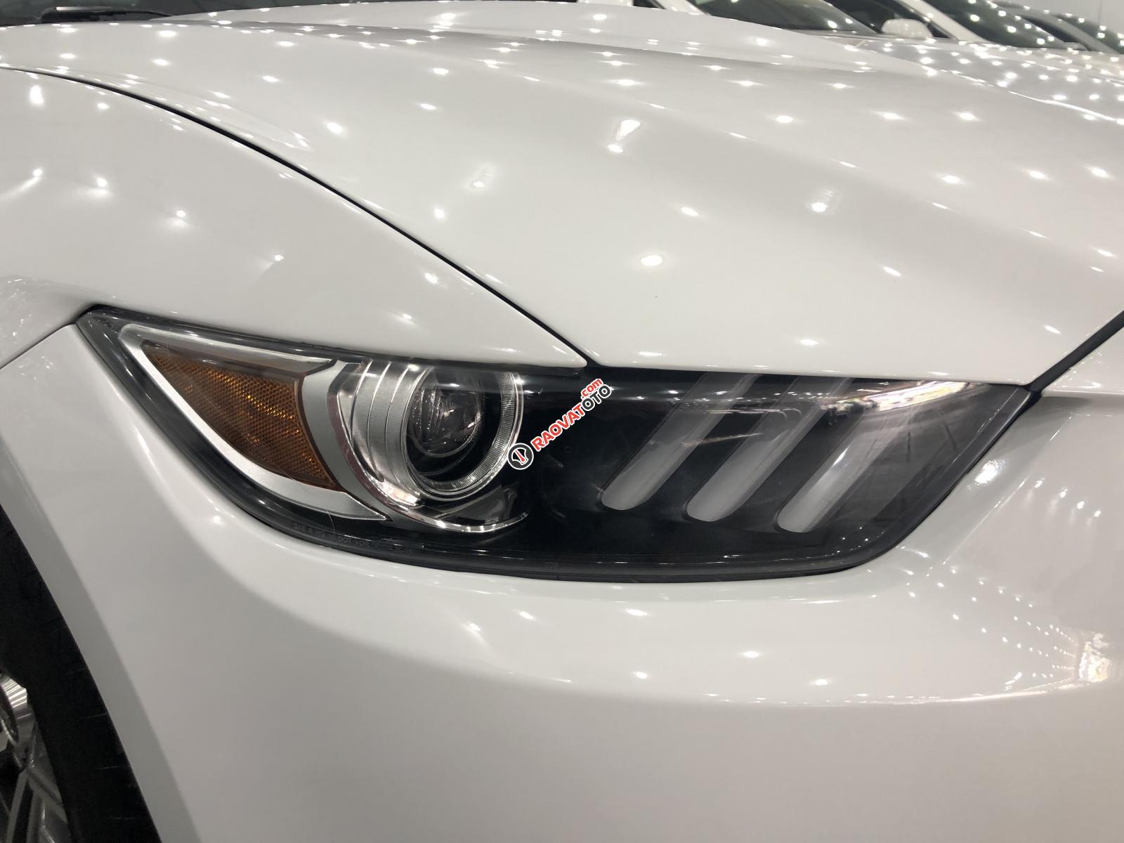 Cần bán xe Ford Mustang sản xuất 2017, màu trắng, nhập khẩu nguyên chiếc-14