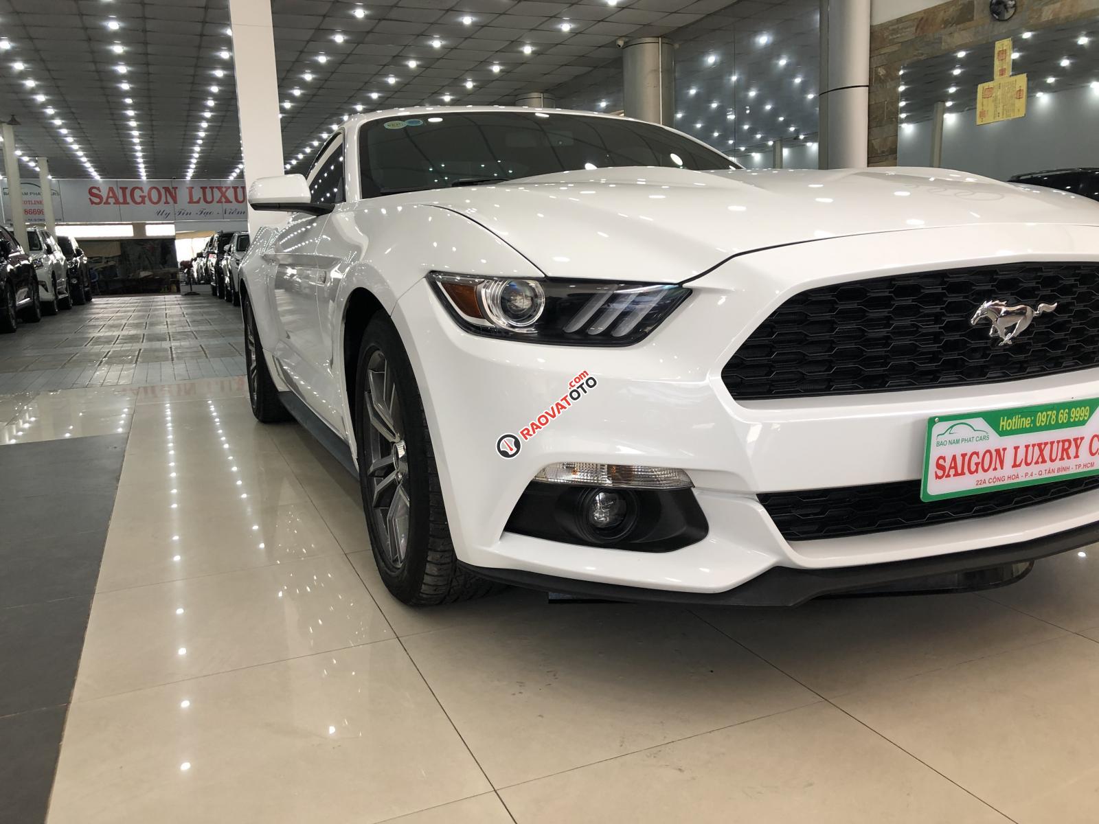Cần bán xe Ford Mustang sản xuất 2017, màu trắng, nhập khẩu nguyên chiếc-11