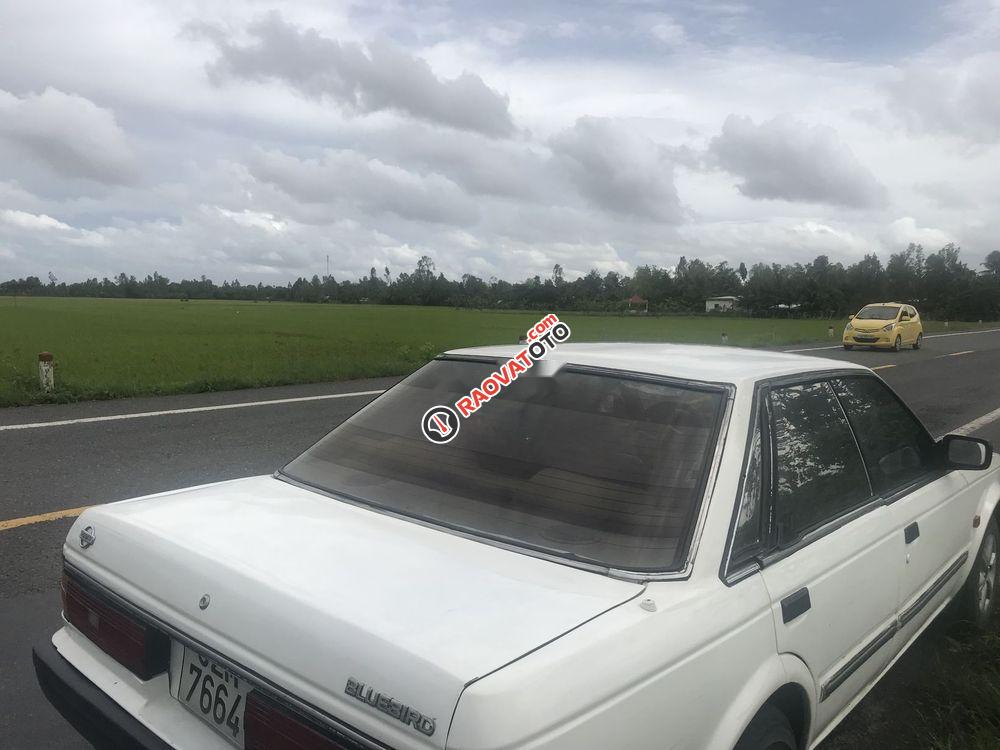 Cần bán gấp Nissan Bluebird sản xuất 1986, màu trắng-0