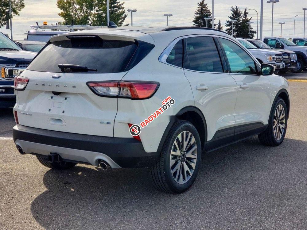 Bán xe Ford Escape đời 2019, màu trắng, hỗ trợ tốt-1