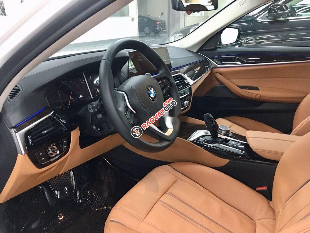Bán xe BMW 520i sản xuất năm 2019, màu trắng-6
