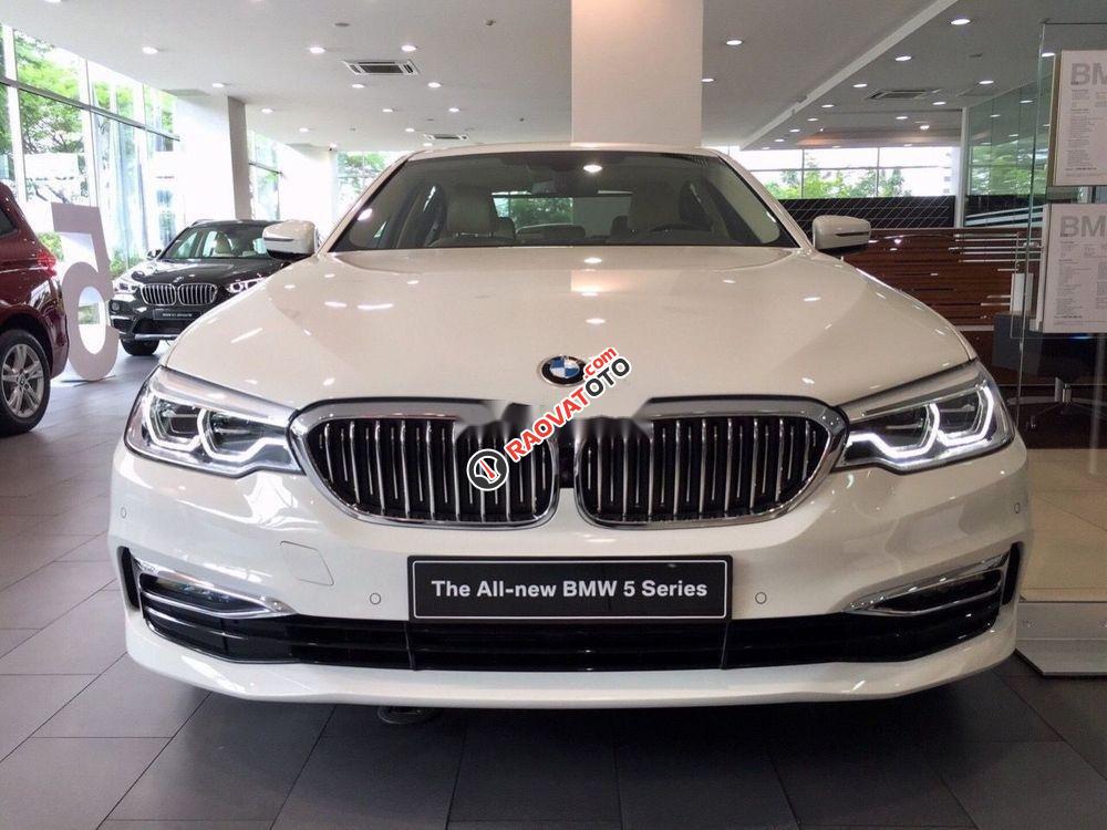 Bán xe BMW 520i sản xuất năm 2019, màu trắng-1