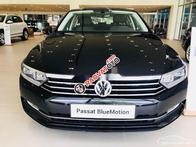 Cần bán xe Volkswagen Passat đời 2019, nhập khẩu nguyên chiếc-6