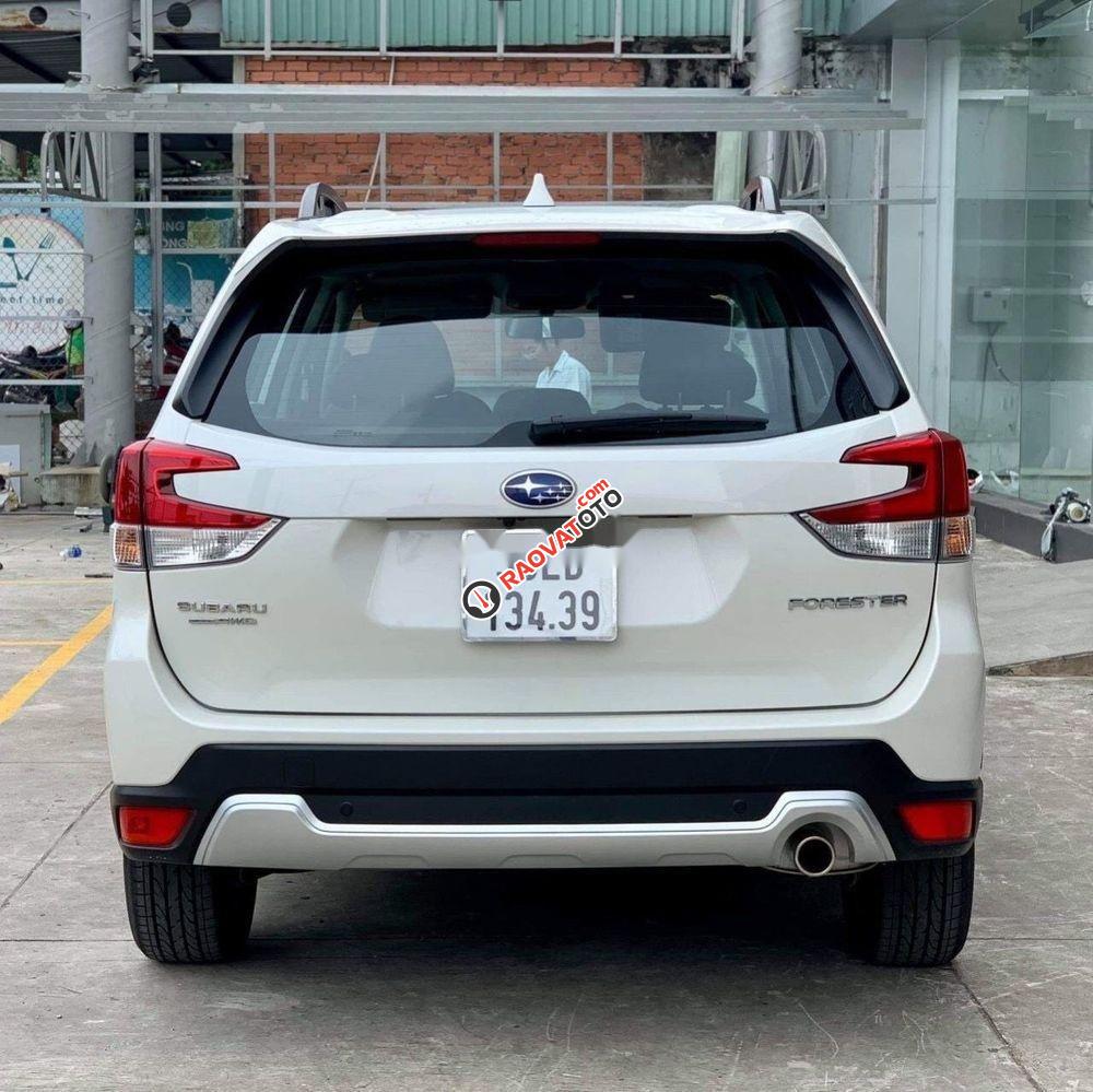 Bán Subaru Forester sản xuất 2019, nhập khẩu, mới 100%-3