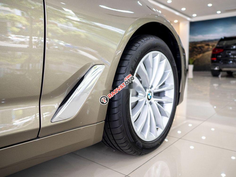 Cần bán BMW 5 Series năm sản xuất 2019, xe nhập-4