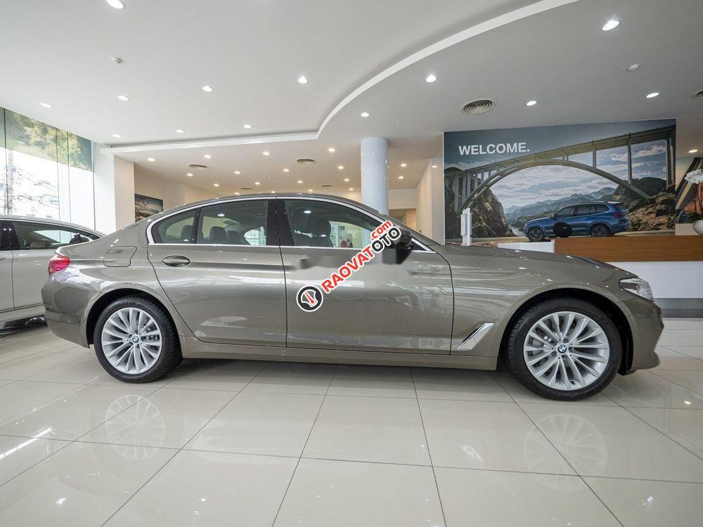 Cần bán BMW 5 Series năm sản xuất 2019, xe nhập-3