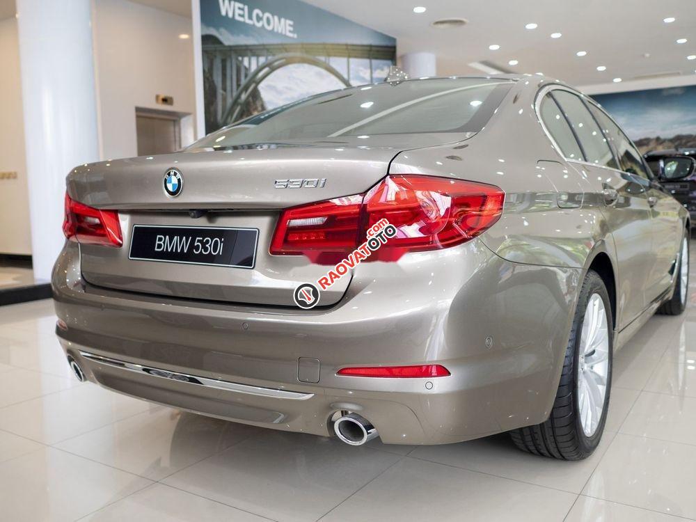 Cần bán BMW 5 Series năm sản xuất 2019, xe nhập-5
