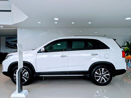 Bán ô tô Kia 2019, màu trắng, nhập khẩu giảm 40 triệu-5