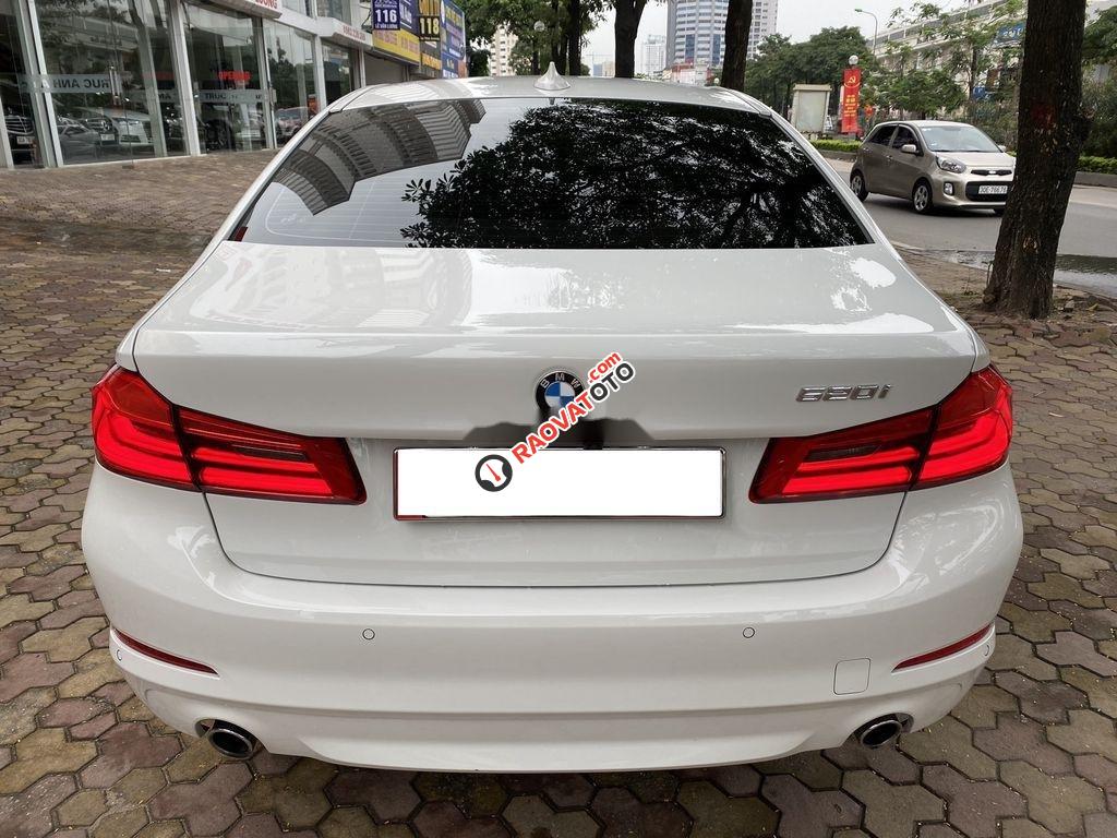 Cần bán BMW 5 Series 520i năm 2018, màu trắng, nhập khẩu-1