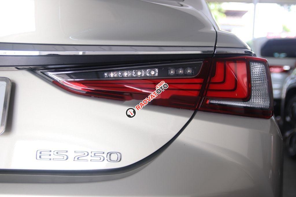 Bán xe Lexus ES 250 sản xuất năm 2020, màu bạc, nhập khẩu-4