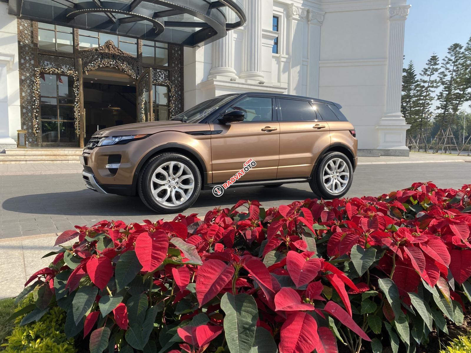 Bán LandRover Evoque sản xuất 2014, màu nâu, nhập khẩu nguyên chiếc, giá tốt-3