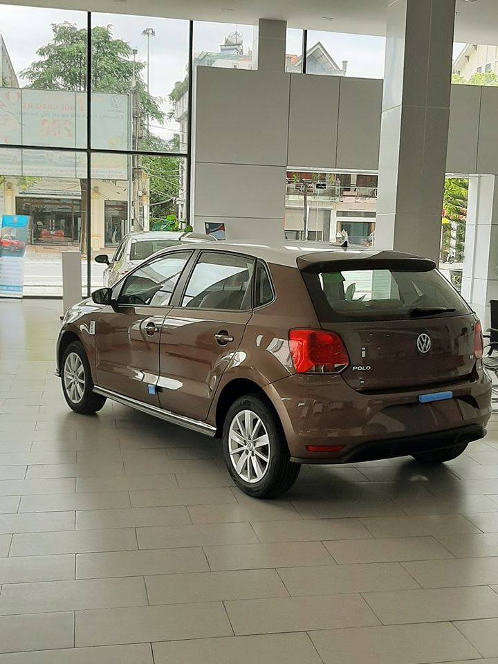 Bán ô tô Volkswagen Polo đời 2021, màu nâu, nhập khẩu chính hãng, giá 695tr-10