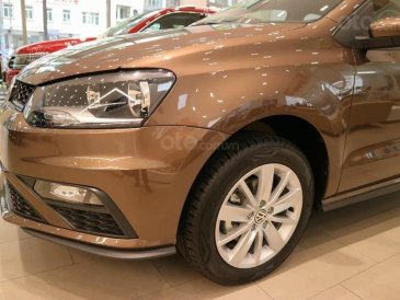 Volkswagen Polo Hatchback 2020 màu nâu ưu đãi đặc biệt giảm giá tiền mặt 50tr - giao ngay-4