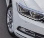 Volkswagen Passat mẫu xe dành cho doanh nhân, rẻ như xe Nhật, nhập khẩu nguyên chiếc Đức, tặng 100% phí trước bạ-3