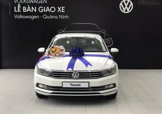 Volkswagen Passat mẫu xe dành cho doanh nhân, rẻ như xe Nhật, nhập khẩu nguyên chiếc Đức, tặng 100% phí trước bạ-10