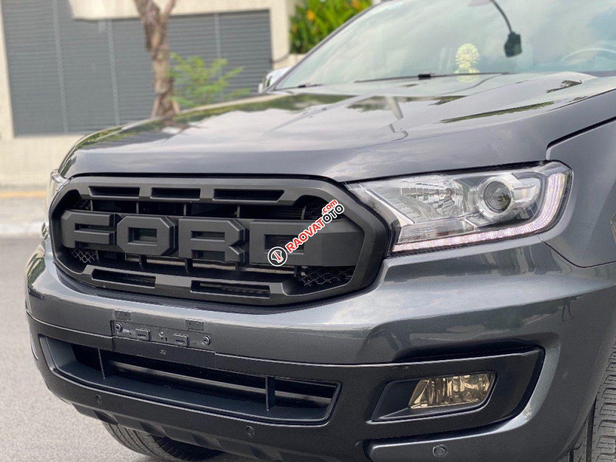 Xe Ford Everest 4x2AT năm 2019, màu xám, xe nhập còn mới-4