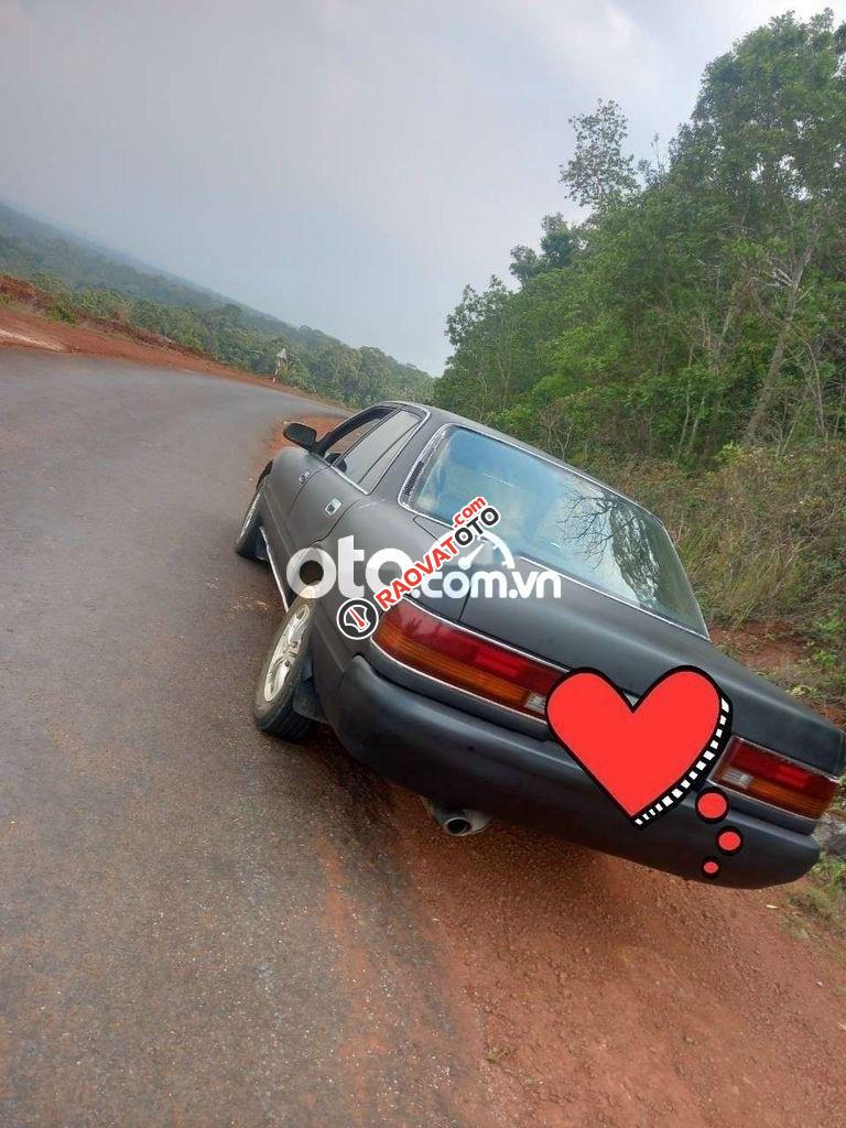 Màu xám, xe nhập-2