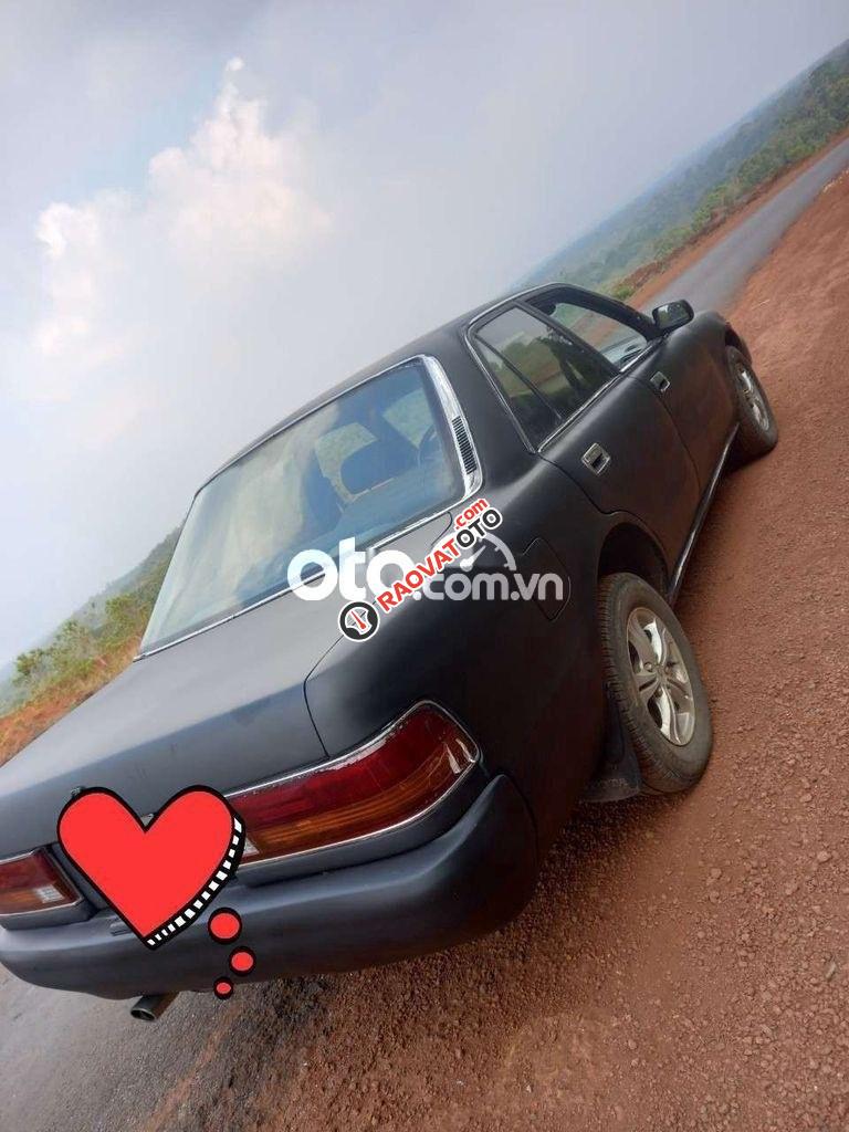 Màu xám, xe nhập-3