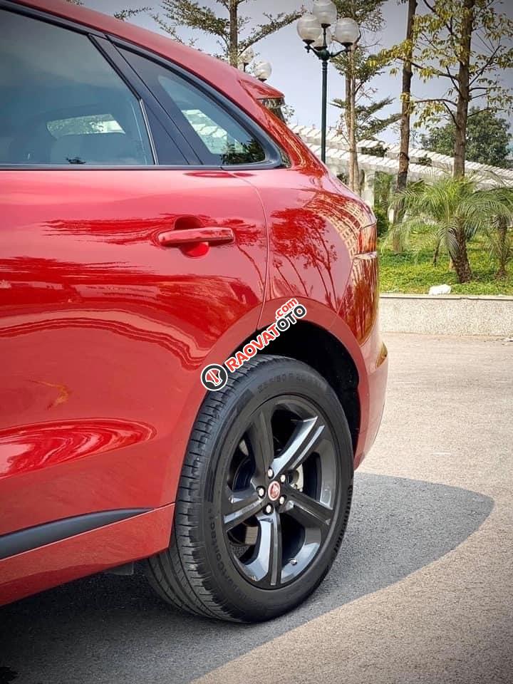 Nhập khẩu nguyên chiếc xe gia đình-3