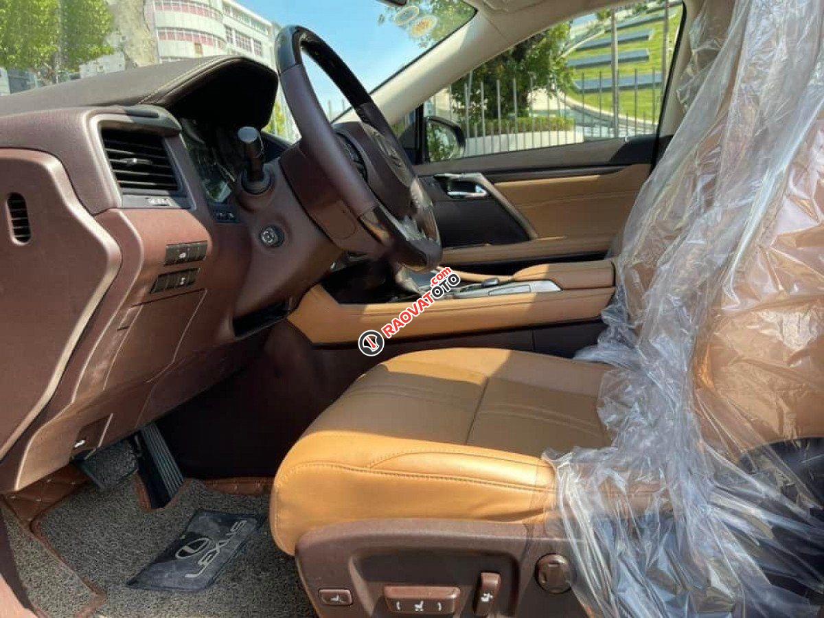 Cần bán gấp Lexus RX 200 T năm sản xuất 2017, màu đen, xe nhập-5