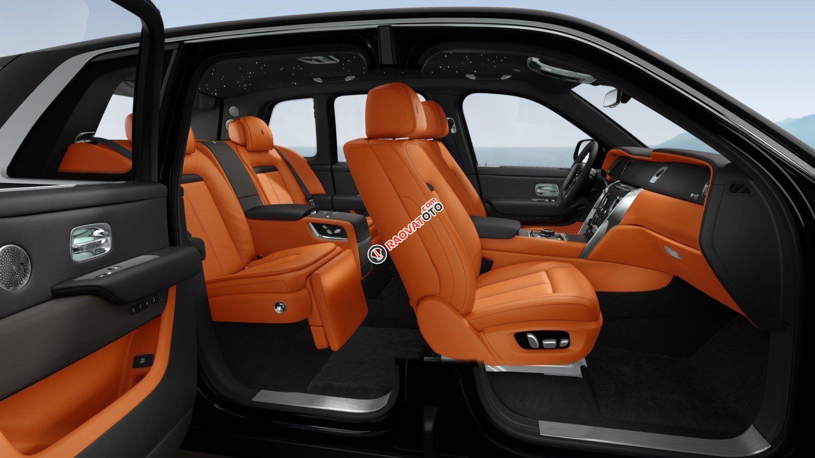 Mới 100% - Viên kim cương đen thô to nhất thế giới-6