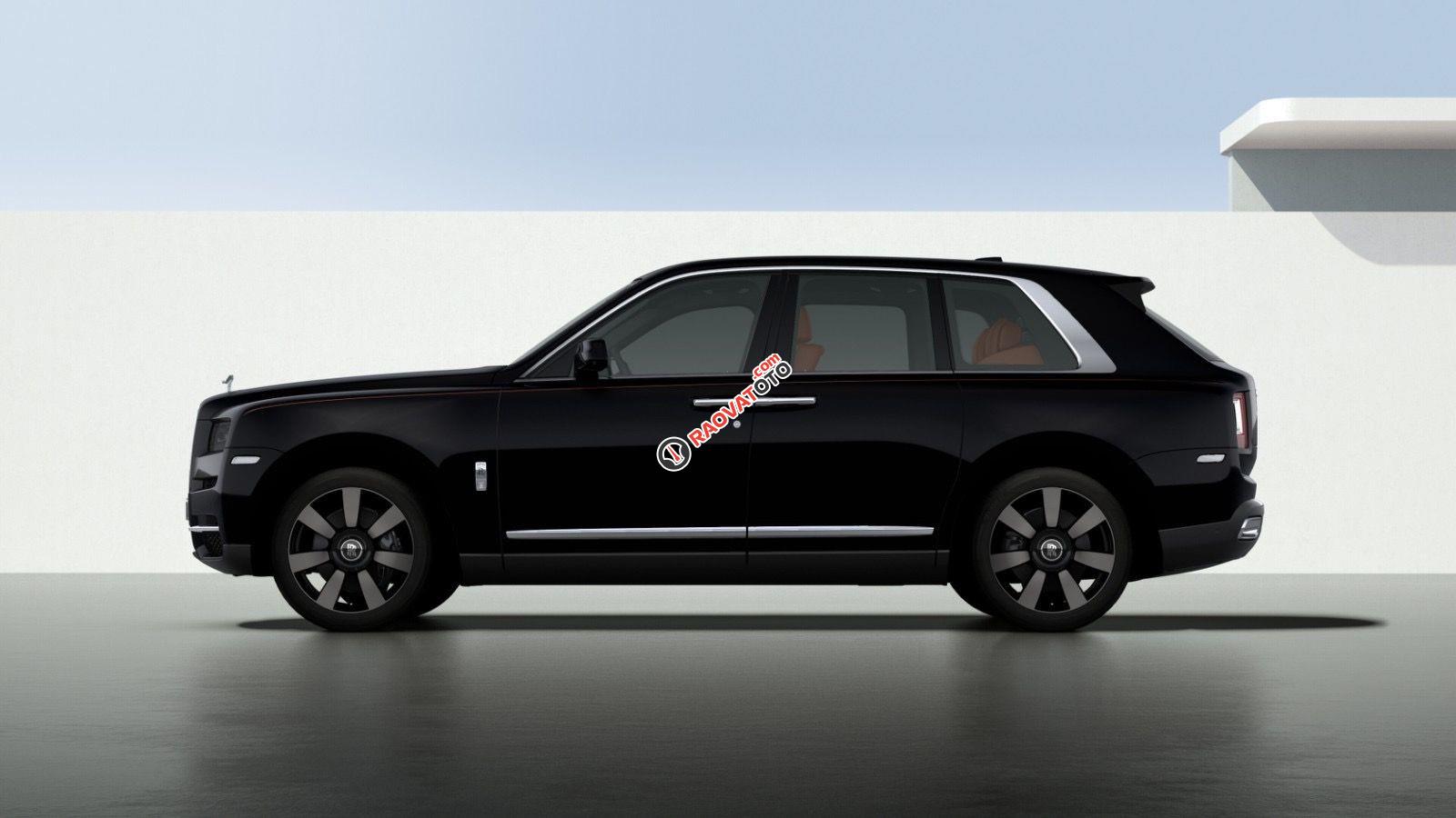 Mới 100% - Viên kim cương đen thô to nhất thế giới-2