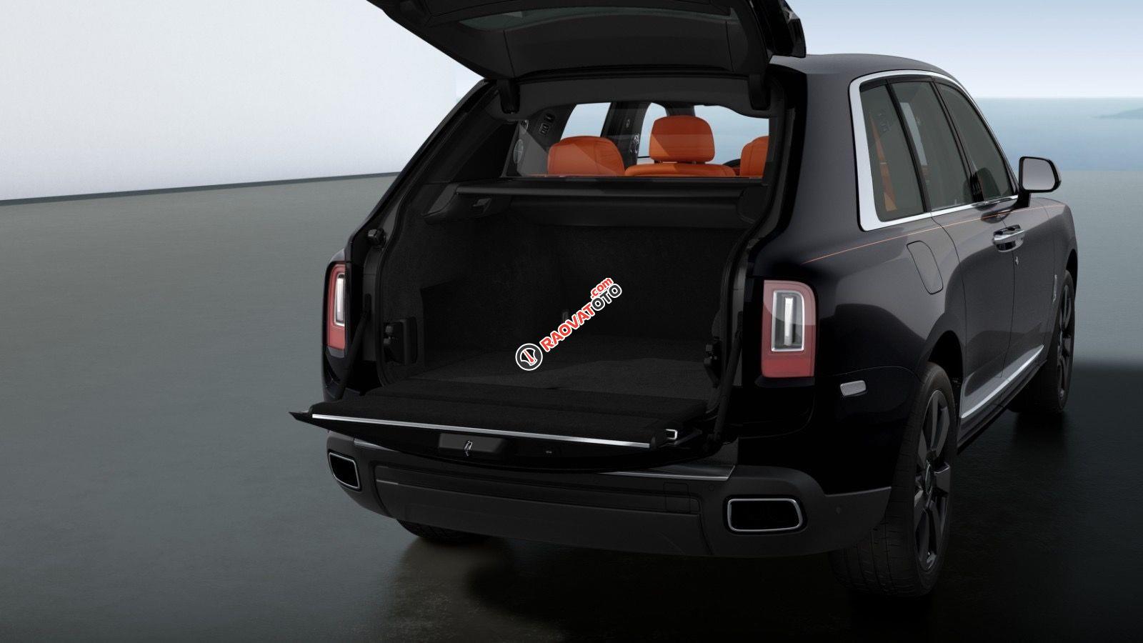 Mới 100% - Viên kim cương đen thô to nhất thế giới-4