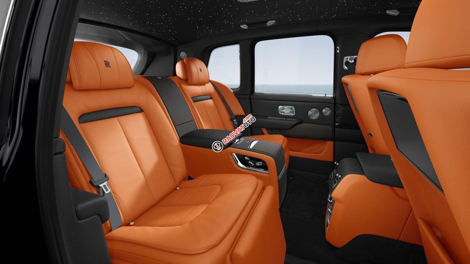 Mới 100% - Viên kim cương đen thô to nhất thế giới-9