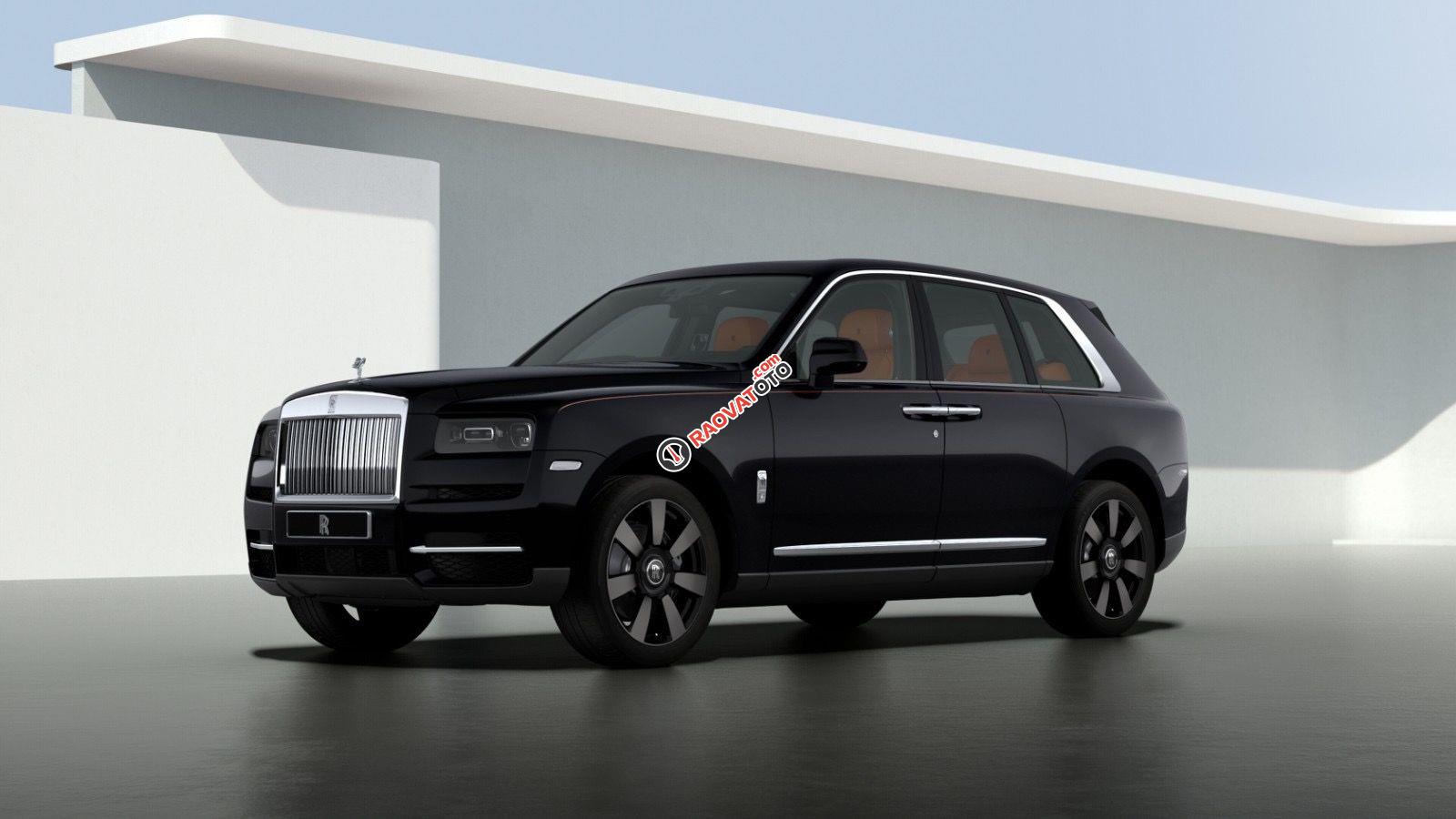 Mới 100% - Viên kim cương đen thô to nhất thế giới-1