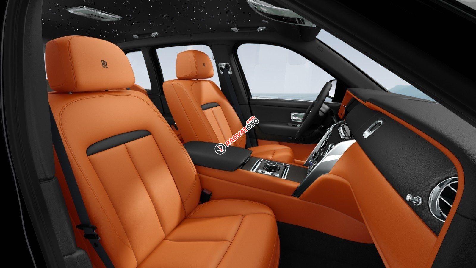 Mới 100% - Viên kim cương đen thô to nhất thế giới-7