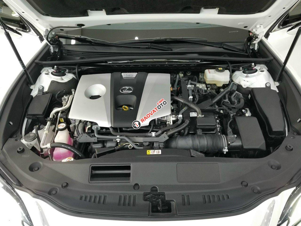 Mới nhất thị trường, chạy cực ít-5